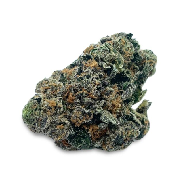 GELATO - - (AAA)