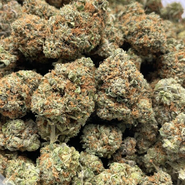 GRAPE GAS - BALANCED HYBRID - (AAA)
