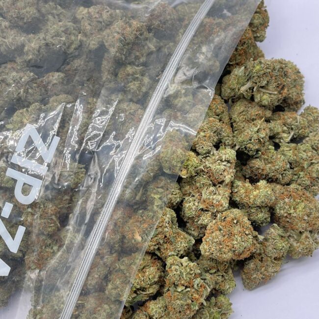 GRAPE GAS (BULK) - BALANCED HYBRID - (AAA)