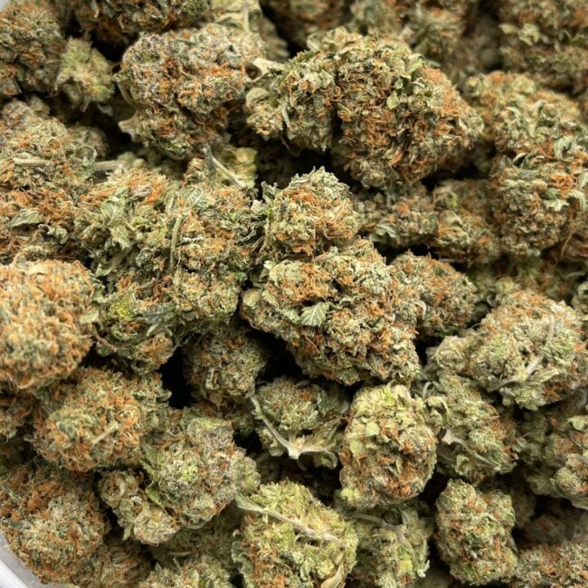 BALANCED HYBRID - (AAA)