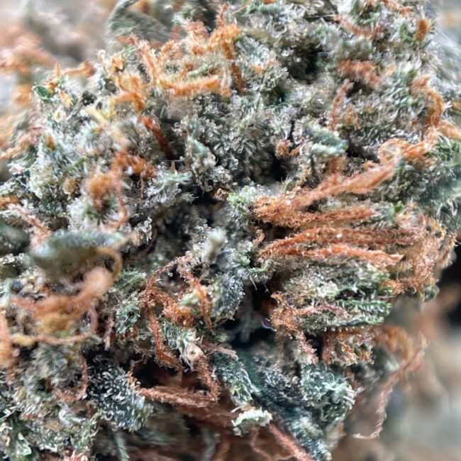 GRAPE GAS
