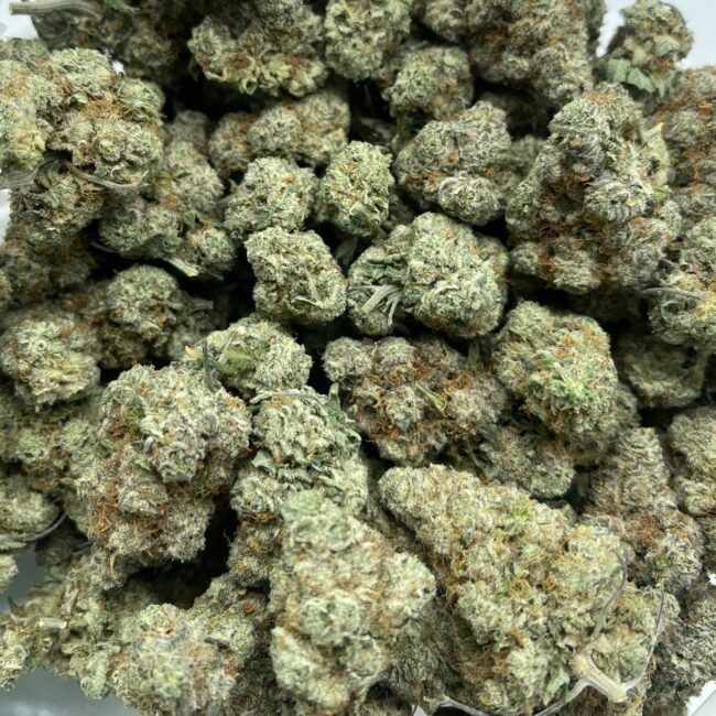 INDICA - (AAA) Cake