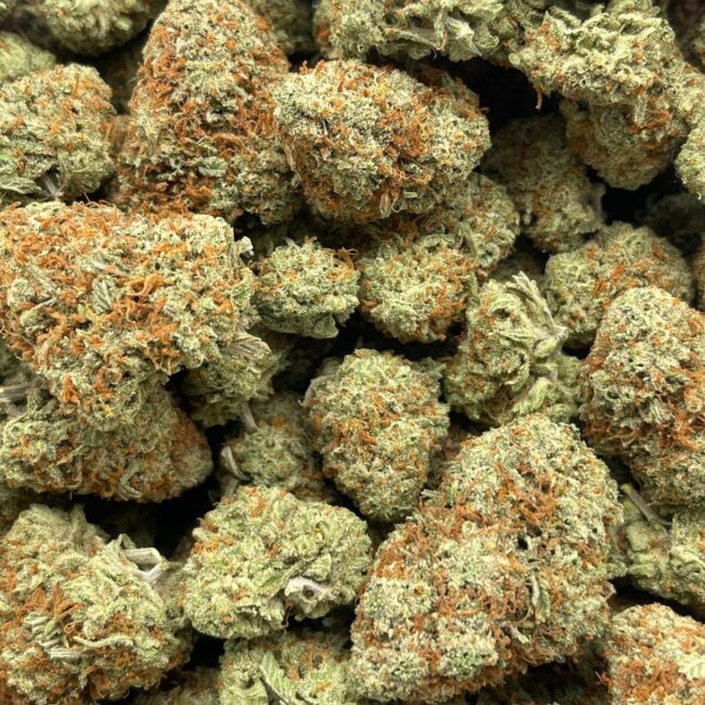 NEVILLE'S HAZE - SATIVA - (AAA)