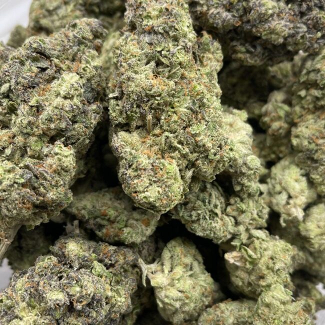 PURPLE DIESeL