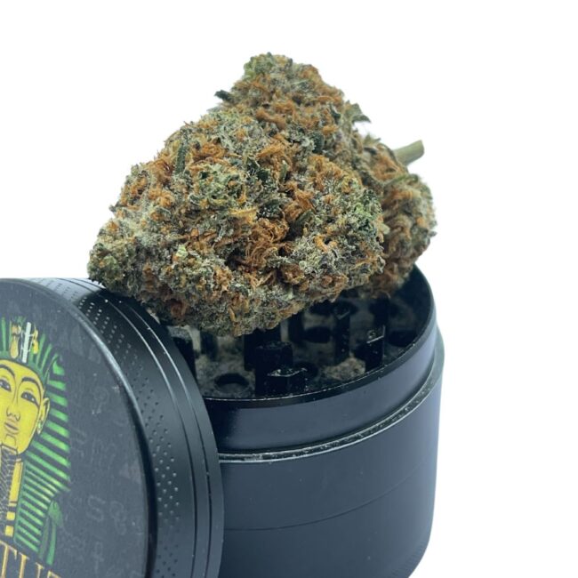 SONIC SCREWDRIVER - SATIVA - (AA)