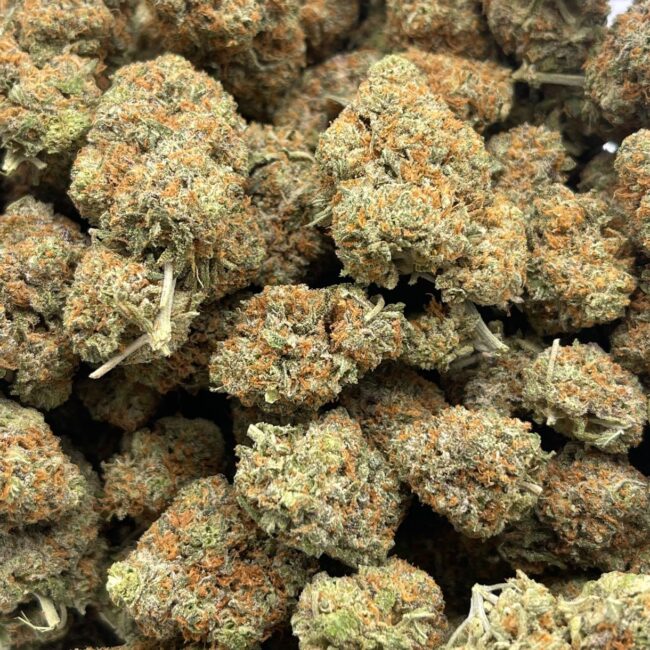 SONIC SCREWDRIVER - SATIVA - (AA)
