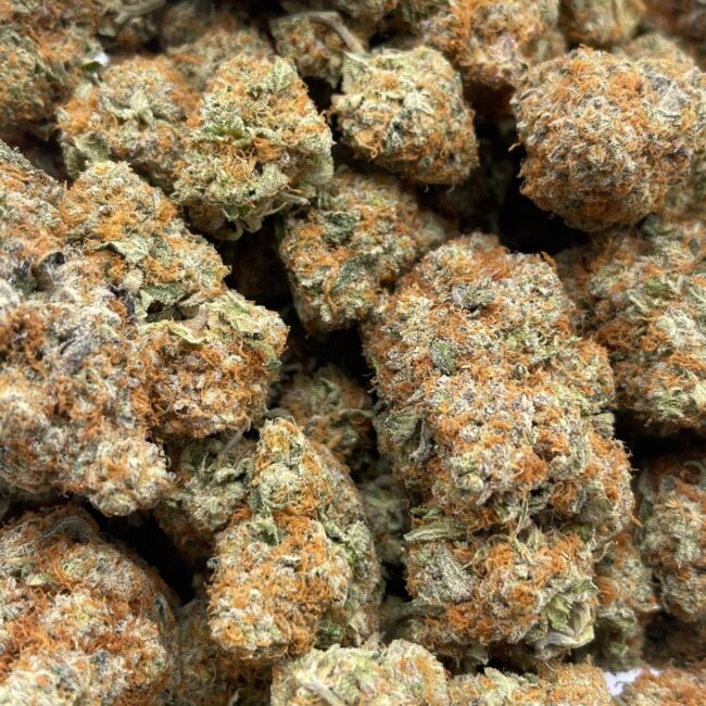 BRAIN'S DAMAGE - INDICA - (AAA)