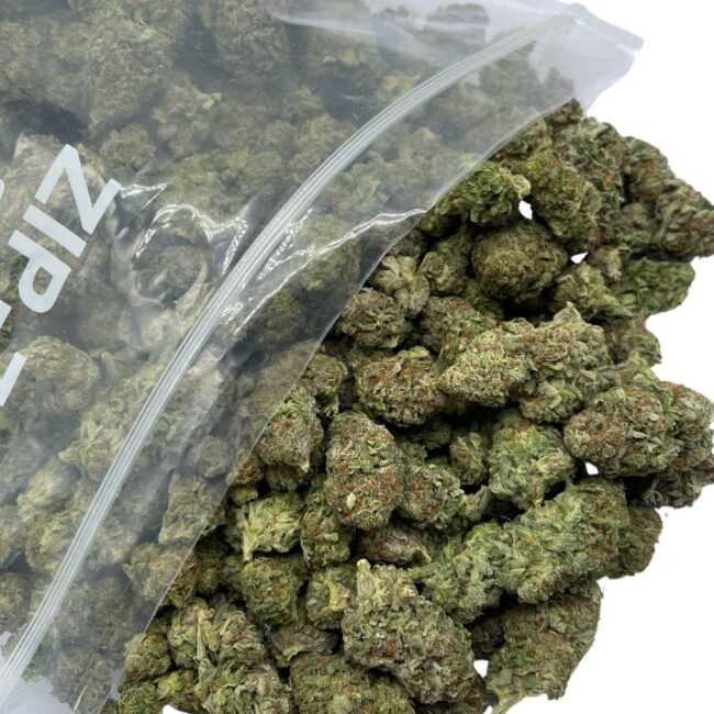 BLACKBERRY - INDICA Product