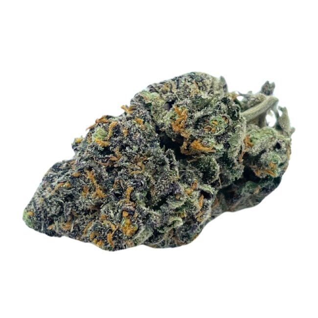 HOLLYWOOD OG