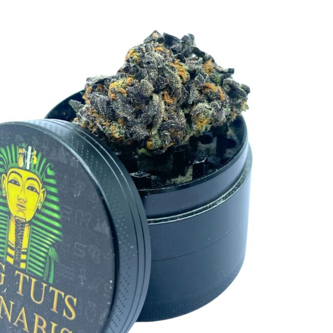 HOLLYWOOD OG - BALANCED HYBRID - (AAA)