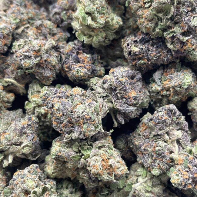 HOLLYWOOD OG - BALANCED HYBRID