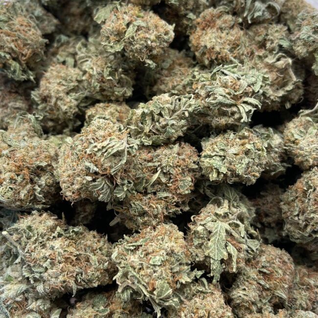 KING KONG (BULK) - INDICA 1/2