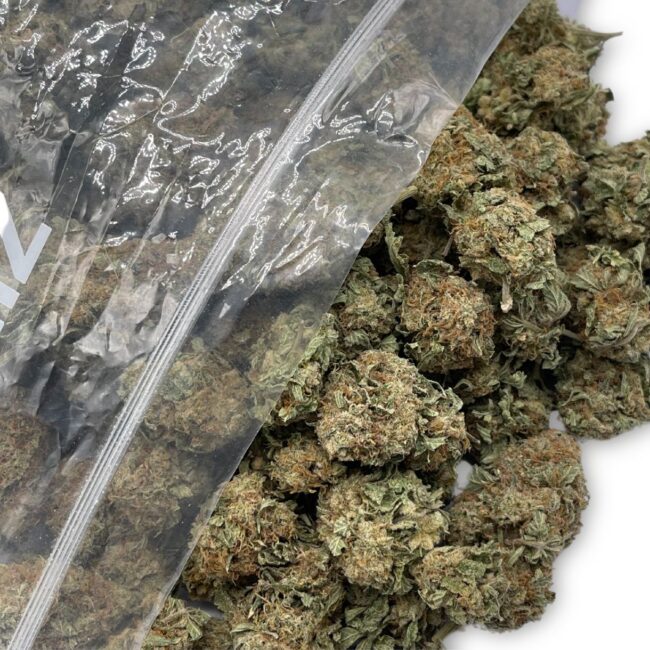 KING KONG - INDICA 1/2