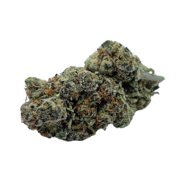 ORANGE CREAMSICLE