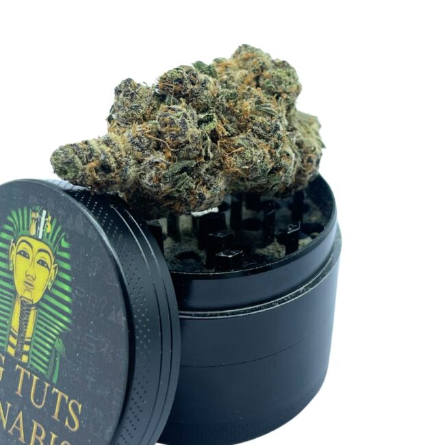 ORANGE CREAMSICLE - SATIVA - (AAA)