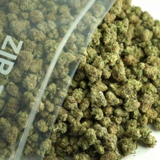 Close-up image of cannabis buds spilling out of a clear ZIP-ZAG plastic bag onto a white surface, showing dense green nugs with visible trichomes and orange hairs.