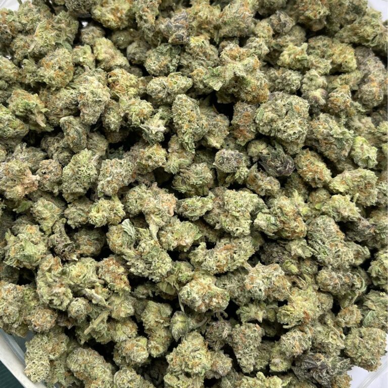 pp gg4 1