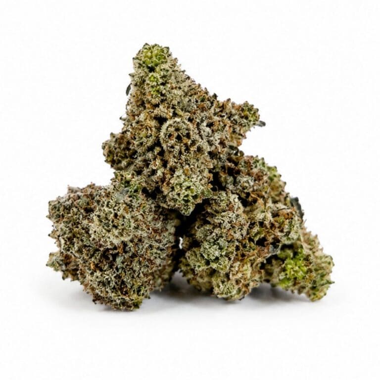 Image d'un bourgeon de cannabis recouvert de trichomes givrés sur un fond blanc immaculé