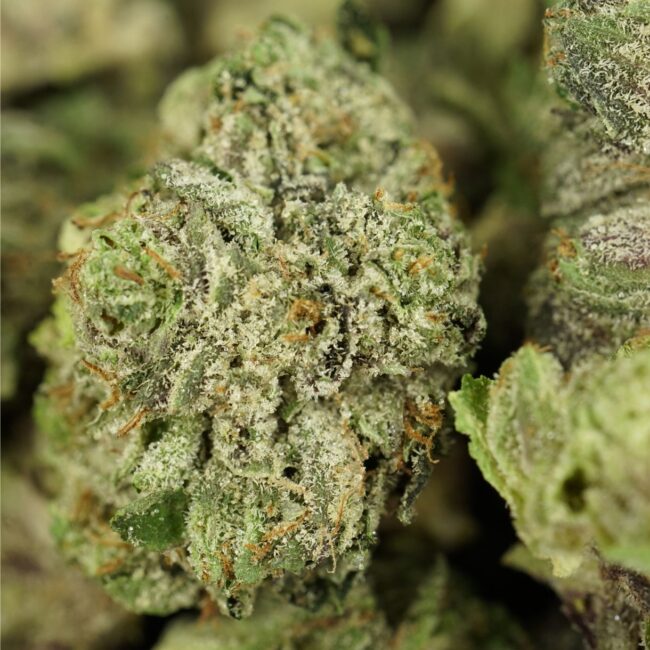 28gr - MASTER KUSH ULTRA (SMALLS) - INDICA - (AAA) - Image 2