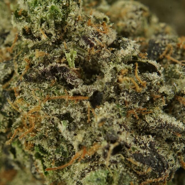 28gr - SUPER PINK (SMALLS) - INDICA - (AAA) - Image 2