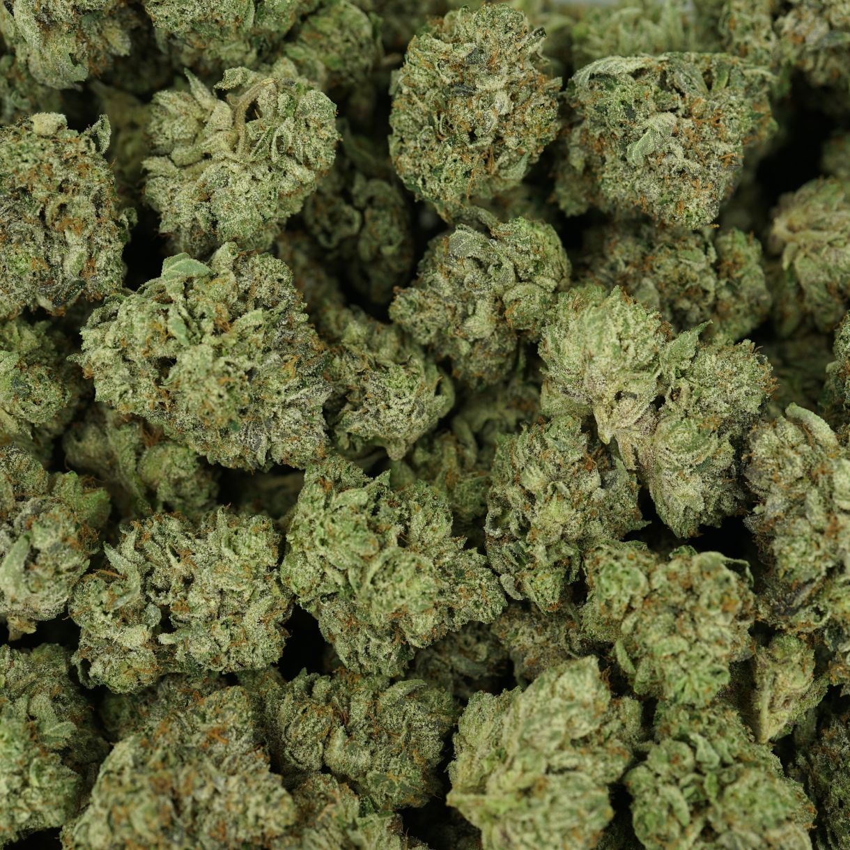 28gr - BLACK PINK DEATH - INDICA - (AAA) - Image 3