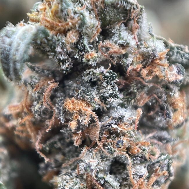 CRB Bulk