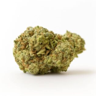 High-resolution cannabis flower on a crisp white background, showcasing dense structure, trichomes, and natural colour detail.