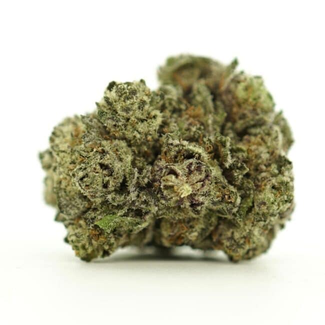 black cherry close-up image of cannabis bud with frosty trichomes on a crisp white background
