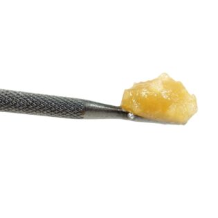 Photorealistic close-up of golden cannabis concentrate on a metal dab tool against a crisp white background.