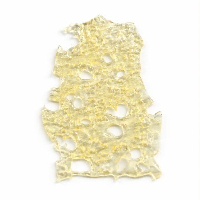 durban poison Close-up of a translucent golden cannabis concentrate slab with a porous, lace-like texture on a crisp white background.