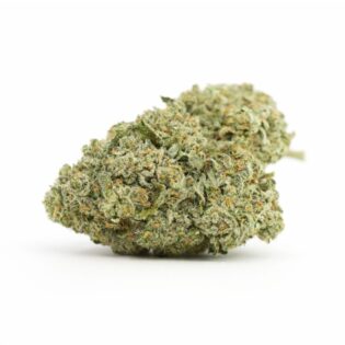 Close-up of a dense cannabis flower with green tones, visible trichomes, and orange pistils on a white background.