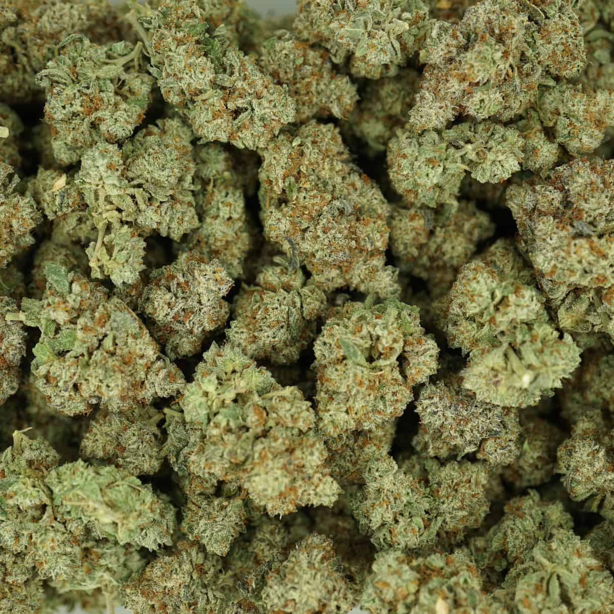 gelato top view of cannabis buds with dense structure, frosty trichomes, and light green coloration