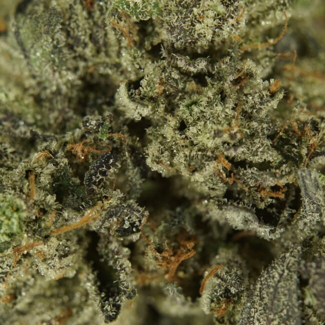 28gr - GREASY PINK BUBBA - INDICA - (AAA) - Image 2