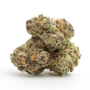 28gr - GREY GOOSE (SMALLS) - BALANCED HYBRID - (AAA)