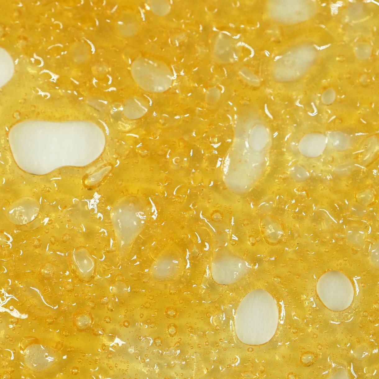 5gr - ISLAND HONEY (SHATTER) - SATIVA - (AAAA) - Image 4
