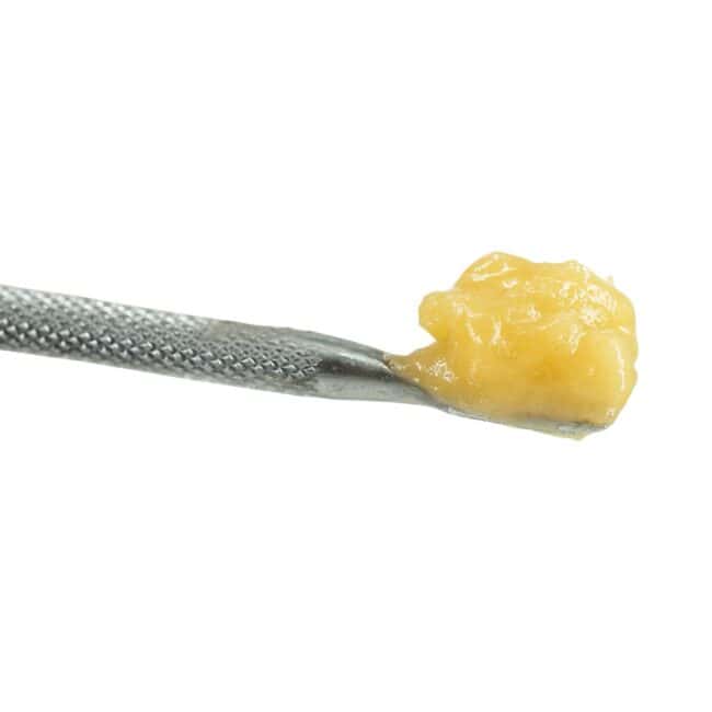 High-quality cannabis budder on a metal dab tool against a clean white background, showcasing smooth texture and golden color.