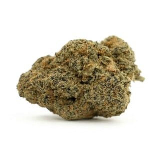 Close-up of a single cannabis bud on a white background, featuring natural green and purple tones with orange hairs and a fine layer of frosty trichomes for a photorealistic look.