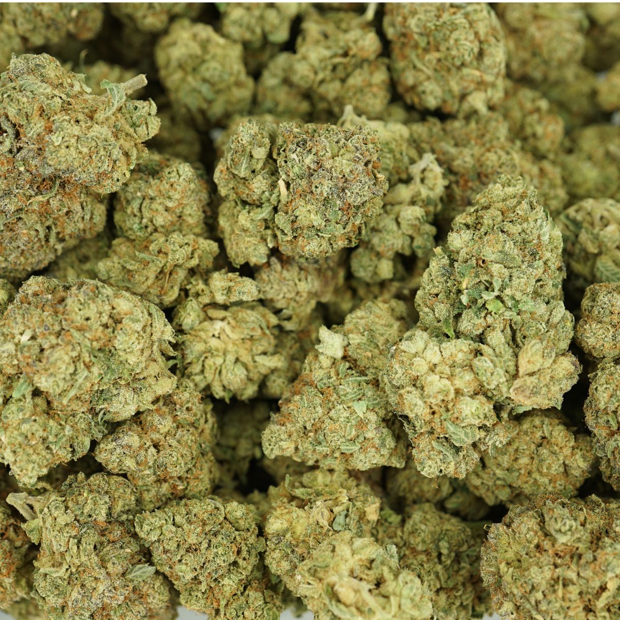 28gr - LEMON PINEAPPLE - SATIVA - (AAA) - Image 3