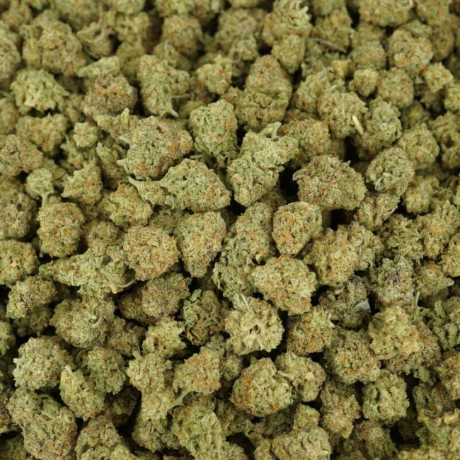 28gr - MAC DONUTS (SMALLS) - BALANCED HYBRID - (AAA) - Image 3