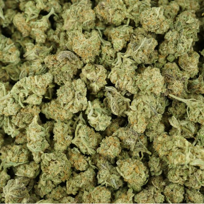 28gr - MAC N' CHEESE (MICROS) - INDICA - (AAA) - Image 3