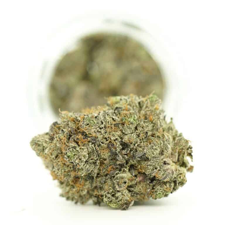 og kush breath close-up image of cannabis bud with frosty trichomes on a crisp white background