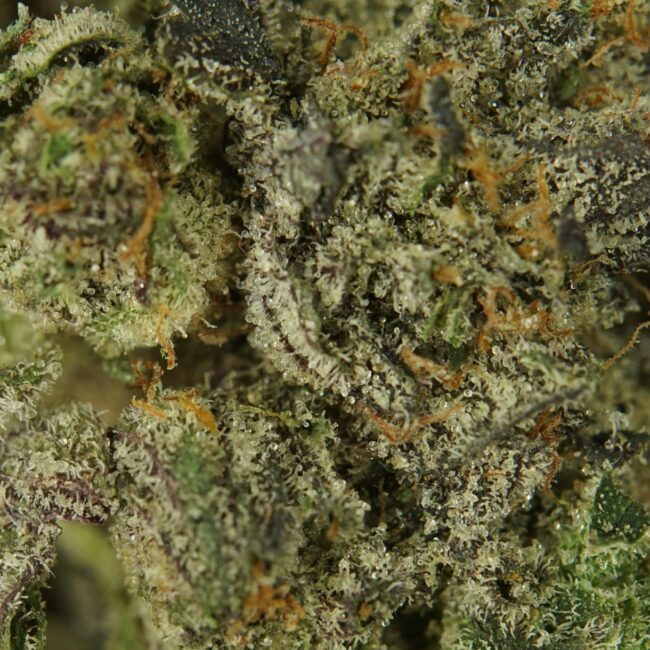 28gr - PINK KUSH (SMALLS) - INDICA - (AAA) - Image 2