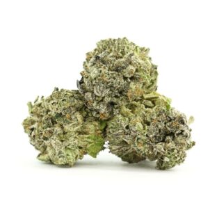  Premium Indica Extract