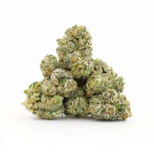 Close-up photorealistic image of dense cannabis buds with green hues, orange pistils, and visible trichomes on a crisp white background.