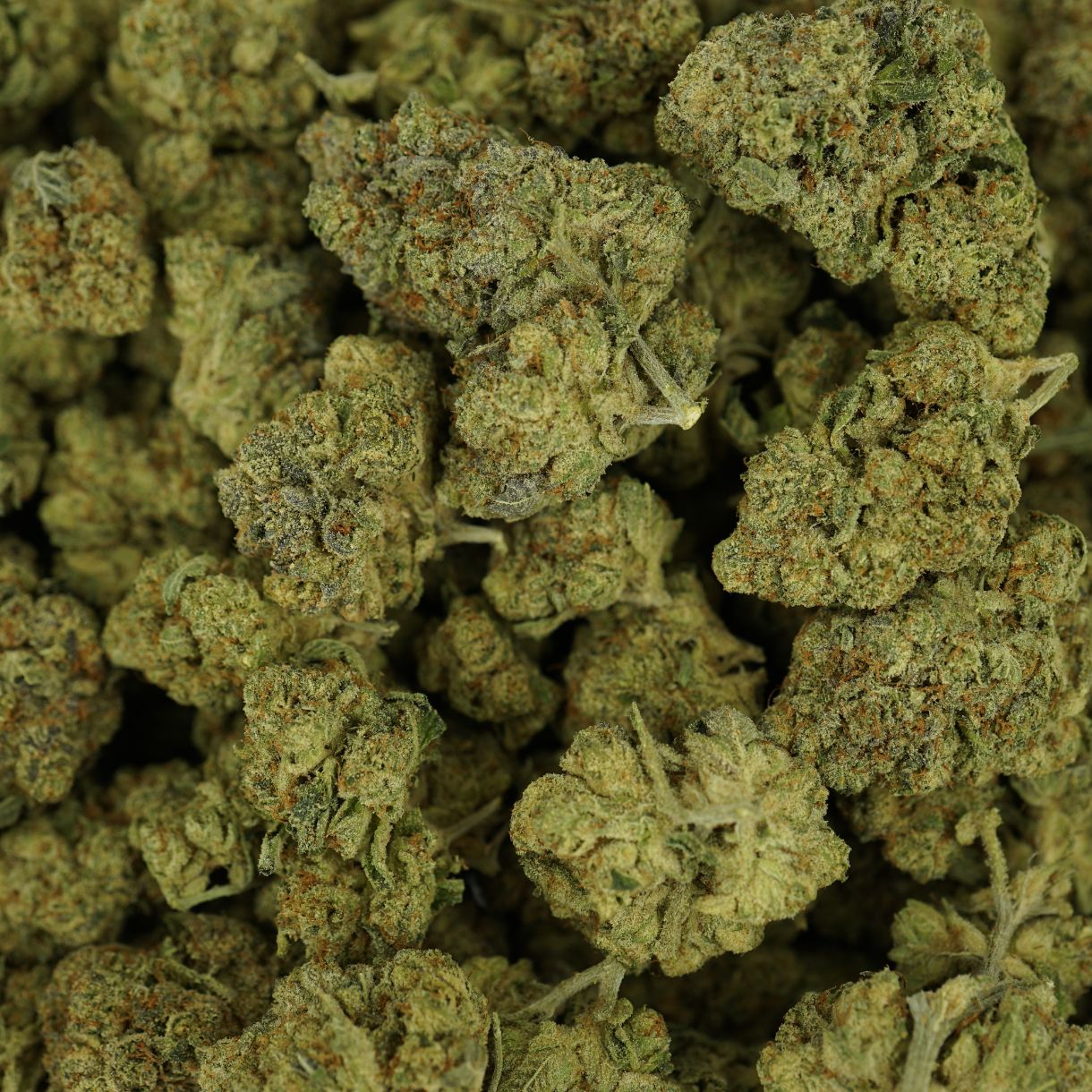 28gr - ULTRA SOUR - SATIVA - (AAA) - Image 3