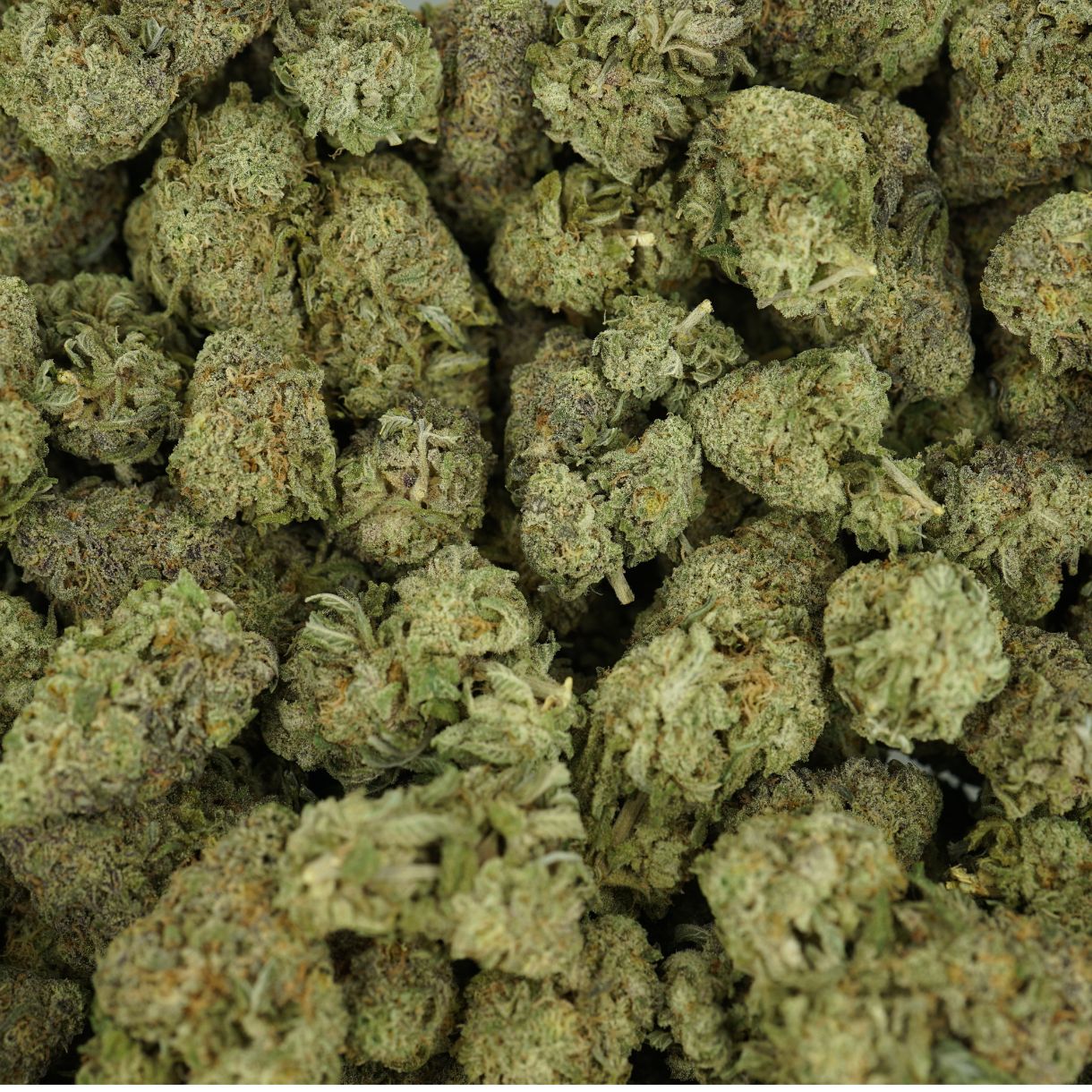 28gr - VANILLA FROSTING - INDICA - (AAA) - Image 3