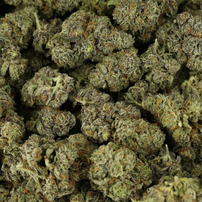 28gr - WHITE TRUFFLE - INDICA - (AAA) - Image 3