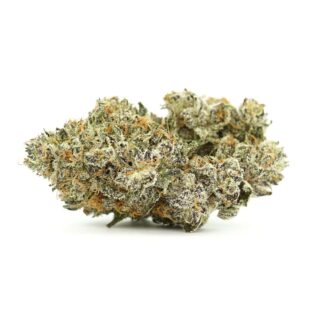 28gr - WHITE TRUFFLE - INDICA - (AAA)