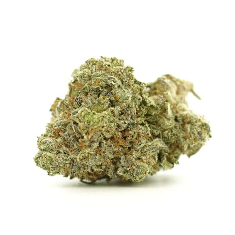 Close-up image of cannabis bud with frosty trichomes on a crisp white background