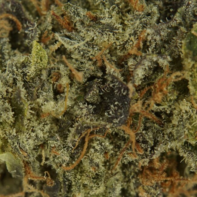 7gr - HIPPY TEARZ - BALANCED HYBRID - (AAAA) - Image 2